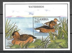 GAMBIA 1995 FAUNA PASARI RATE foto