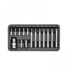 Set biti imbus torx 15 piese, cu adaptor 1/2&#039;&#039;