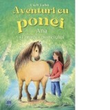 Aventuri cu ponei. Volumul 1: Ana si magia poneiului - Usch Luhn