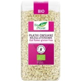 Fulgi de Ovaz Fara Gluten Bio 300 grame Bio Planet