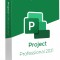 Project Professional 2021