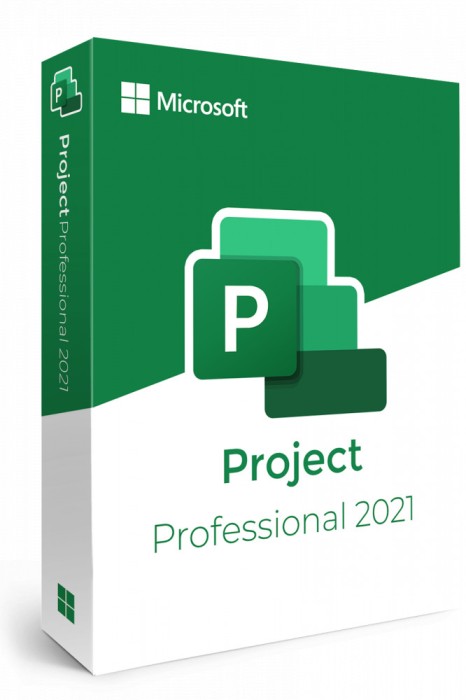 Project Professional 2021