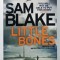 LITTLE BONES by SAM BLAKE , 2016