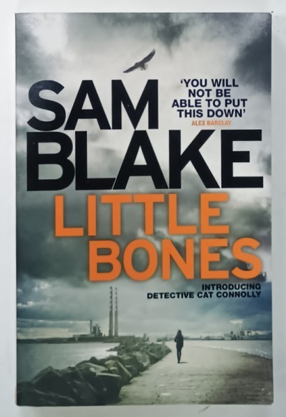 LITTLE BONES by SAM BLAKE , 2016