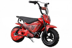 Mini Motocicleta electrica pentru copii NITRO ECO Flee 250W #Rosu foto