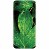 Husa silicon pentru Apple Iphone 5c, Leaves And Dew