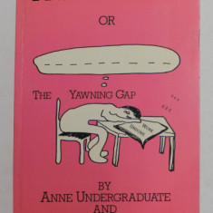 A STUDENT 'S FILE OR THE YAWNING GAP by ANNE UNDERGRADUATE and GEE HUNTER - JONES , ANII '90