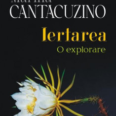 Iertarea - Paperback brosat - Marina Cantacuzino - Polirom