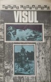 VISUL. NUVELE-MIRCEA CARTARESCU-261152