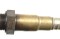 icon 5