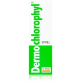 Dr. M&uuml;ller DermoChlorophyl&reg; spray 50 ml