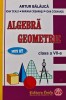 Algebra, geometrie clasa a VII-a - 2010 - Ioan Ciobanasu (AM129)