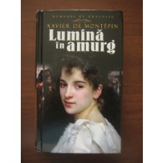 Xavier de Montepin - Lumina in amurg (2012, editie cartonata)