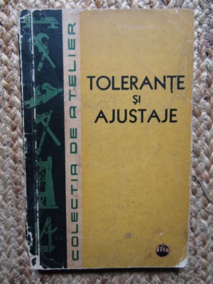 Tolerante si ajustaje - IOSIF RABINOVICI foto