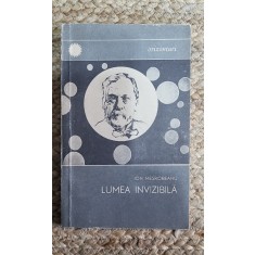 LUMEA INVIZIBILA- ION MESROBEANU