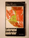 Petre Rado - Labirintul umbrelor (Expresionismul &icirc;n cinema)