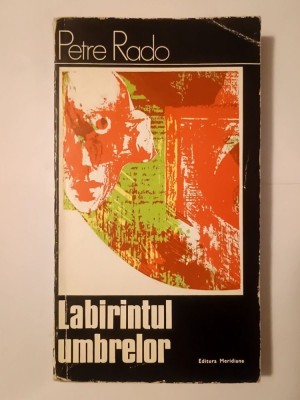 Petre Rado - Labirintul umbrelor (Expresionismul &amp;icirc;n cinema) foto