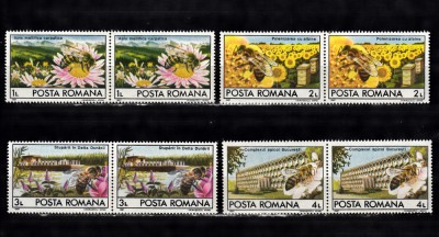 A11 TX9 7 - 1987 - Apicultura - pereche de doua foto