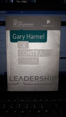 Ce Conteaza Acum - Gaty Hamel foto