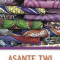 Asante Twi-English/English- Asante Twi Dictionary &amp; Phrasebook