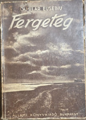 Fergeteg &amp;ndash; Camilar Eusebiu foto
