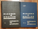 Algebra si analiza matematica. Culegere de probleme Donciu, Flondor (2 vol.)