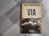 Via de Ion Murgeanu