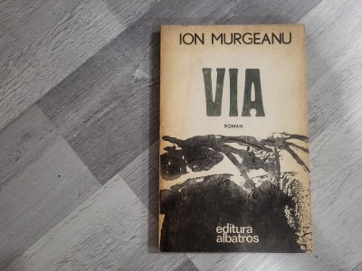 Via de Ion Murgeanu foto