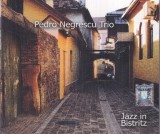 Pedro Negrescu Trio - Jazz in Bistritz CD Jazz Sigilata Societatea de Concerte Bistrita