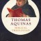 Thomas Aquinas, Biblical Theologian