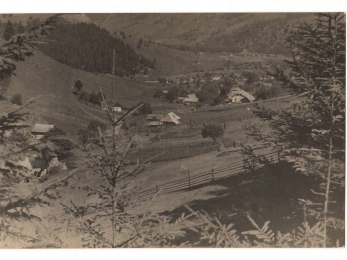 CPIB 22614 - CARTE POSTAL - CAMPULUNG MOLDOVENESC. VALEA CARSTEI, RPR
