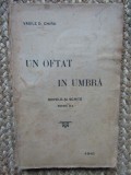 Vasile D. CHIRU - UN OFTAT IN UMBRA
