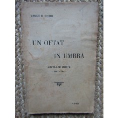 Vasile D. CHIRU - UN OFTAT IN UMBRA