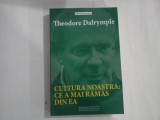CULTURA NOASTRA: CE A MAI RAMAS DIN EA - THEODORE DALRYMPLE