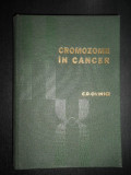 Corneliu D. Olinici - Cromozomii in cancer (1978, editie cartonata)