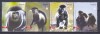 DB1 Fauna WWF Angola 2004 Maimuta Colobo 4 v. MNH, Nestampilat