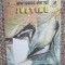 Justine - Lawrence Durrell