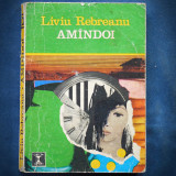 Cumpara ieftin AMINDOI / AMANDOI - LIVIU REBREANU - CLEPSIDRA