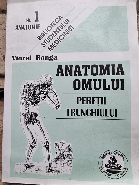 ANATOMIA OMULUI, PERETII TRUNCHIULUI DE VIOREL RANGA