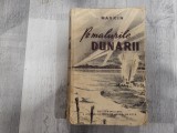 Pe malurile Dunarii de I.Markin