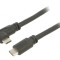 Cablu USB 3.2 USB C la USB C unghi 5m negru 5Gbps