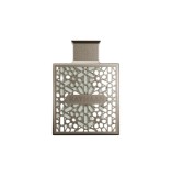 Rayhaan, Terra, Apă de parfum, Pentru bărbați, 100 ml