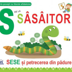 S de la Sâsâitor - Paperback brosat - Emanuela Carletti - Didactica Publishing House