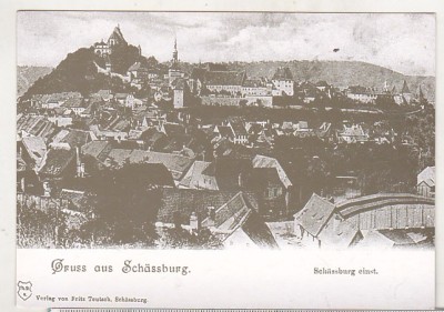 bnk cp Sighisoara - Vedere - necirculata foto
