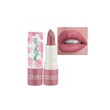 Ruj de Buze Mat, Handaiyan, Lipstick Collection, 03 Vanity Rose