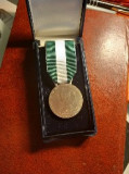 Medalie de onoare Franta, Europa