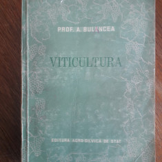 Viticultura - Prof. A. Bulencea / R2P4F