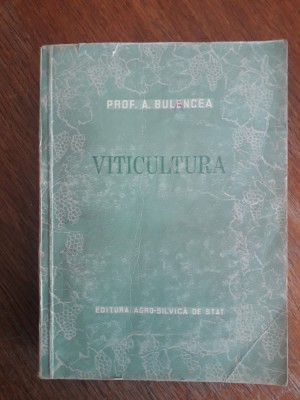 Viticultura - Prof. A. Bulencea / R2P4F foto