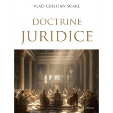 Doctrine juridice - Paperback brosat - Hamangiu
