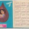 bnk cld Calendar de buzunar 1971 - Centrul de hematologie Bucuresti